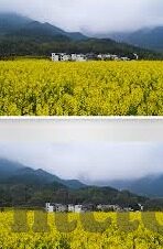 大象传媒下载app下载-探索大象传媒，解锁数字娱乐新体验