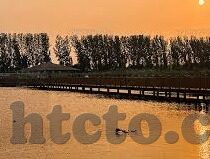 大象传媒在哪下载-探索大象传媒的下载途径