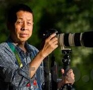 麻豆传媒视频资源-当代内容消费的新视角，探索麻豆传媒视频资源的多元化价值