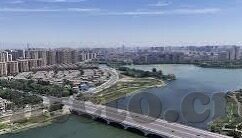 糖心app直播免费下载-体验糖心直播，清流中的明亮多彩
