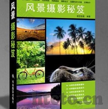 挑战大象与人拔河视频-挑战大象与人拔河，一场力量与智慧的较量